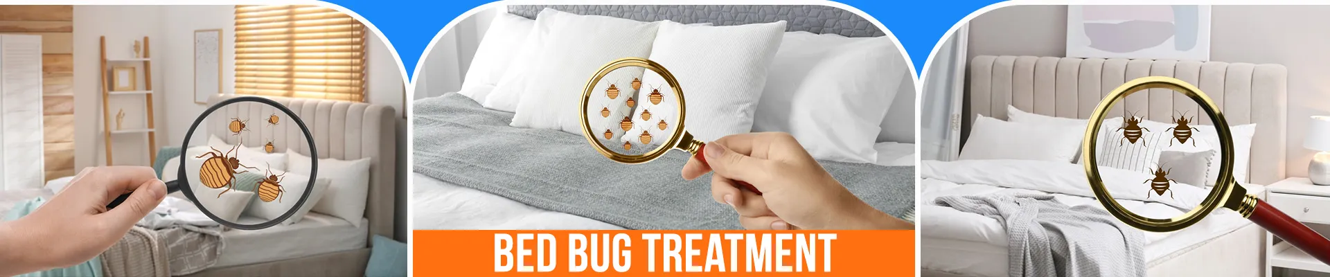 carpet cleaning in brooklyn, carpet cleaning in new york, carpet cleaning brooklyn, carpet cleaners in brooklyn, carpet cleaners in new york, commercial carpet cleaning, commercial carpet cleaning in brooklyn, brooklyn rug cleaners, rug cleaning services in brooklyn, same day carpet cleaning, same day rug cleaning