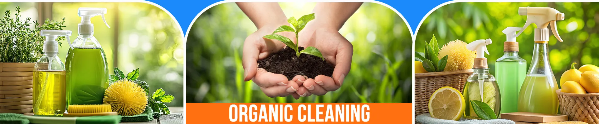 carpet cleaning in brooklyn, carpet cleaning in new york, carpet cleaning brooklyn, carpet cleaners in brooklyn, carpet cleaners in new york, commercial carpet cleaning, commercial carpet cleaning in brooklyn, brooklyn rug cleaners, rug cleaning services in brooklyn, same day carpet cleaning, same day rug cleaning