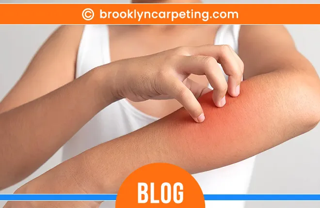 carpet cleaning in brooklyn, carpet cleaning in new york, carpet cleaning brooklyn, carpet cleaners in brooklyn, carpet cleaners in new york, commercial carpet cleaning, commercial carpet cleaning in brooklyn, brooklyn rug cleaners, rug cleaning services in brooklyn, same day carpet cleaning, same day rug cleaning