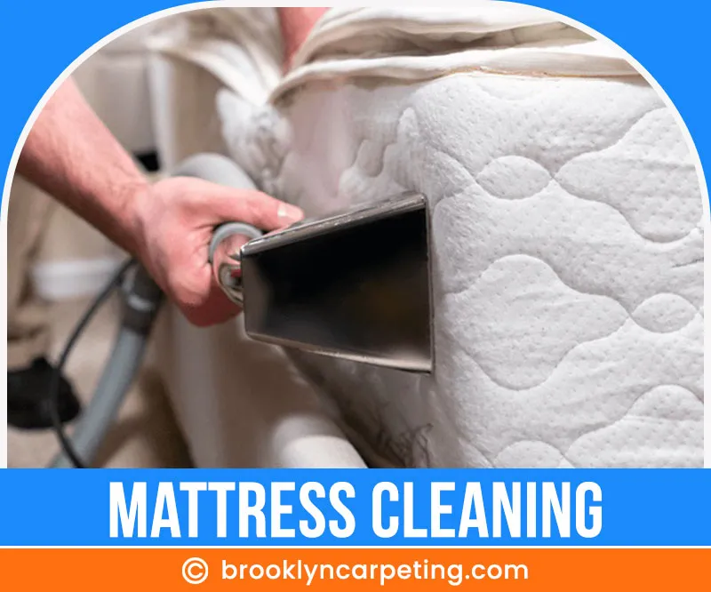 carpet cleaning in brooklyn, carpet cleaning in new york, carpet cleaning brooklyn, carpet cleaners in brooklyn, carpet cleaners in new york, commercial carpet cleaning, commercial carpet cleaning in brooklyn, brooklyn rug cleaners, rug cleaning services in brooklyn, same day carpet cleaning, same day rug cleaning