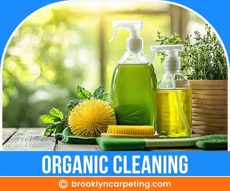 carpet cleaning in brooklyn, carpet cleaning in new york, carpet cleaning brooklyn, carpet cleaners in brooklyn, carpet cleaners in new york, commercial carpet cleaning, commercial carpet cleaning in brooklyn, brooklyn rug cleaners, rug cleaning services in brooklyn, same day carpet cleaning, same day rug cleaning